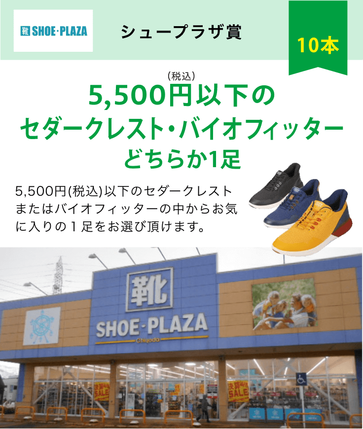 シュープラザ賞　5500円以下のセダークレスト・バイオフィッターどちらか1足